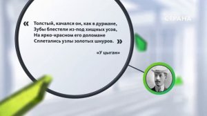 Амурский тигр