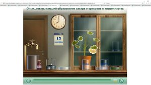 Образование сахара и крахмала в хлоропластах