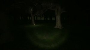 СБЕЖАЛ ОТ ШРЕКА СЛЕНДЕРМЕНА - SHREK SLENDERMAN Swamp Sim