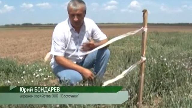 ВЫЯВЛЕНИЕ ОЧАГОВ ГОРЧАКА В РОСТОВСКОЙ ОБЛАСТИ