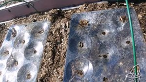 агропанели своими руками