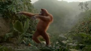 Музыкальная пауза ?