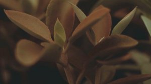 Александр Дугин — О психологии и психологах