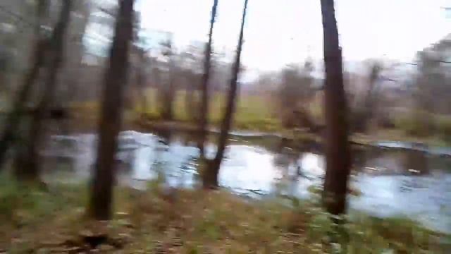 Талисман Полевой(вот где вся утка) Тамбовская Область смотреть онлайн