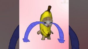 Banana Cat Crying 10 Hours
