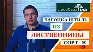Вагонка штиль из лиственницы, сорт В