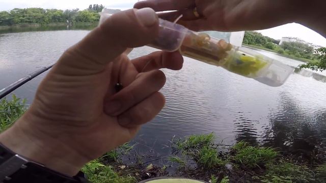 Major Craft N One. Первые впечатления смотреть онлайн