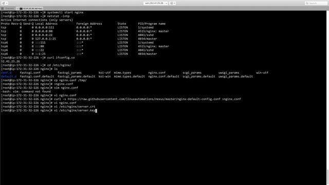 Docker Private Registry with Nexus смотреть онлайн