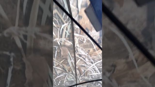 Палатка HIGASHI ЮРТА смотреть онлайн