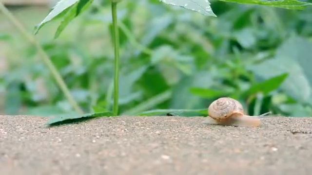 June 19, 2017 смотреть онлайн