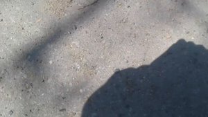 Хотела лопнуть мячик😧