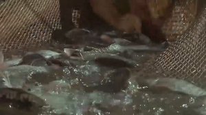 Иисус Христос Видео - Чудеса Иисуса - Чудо рыбалки