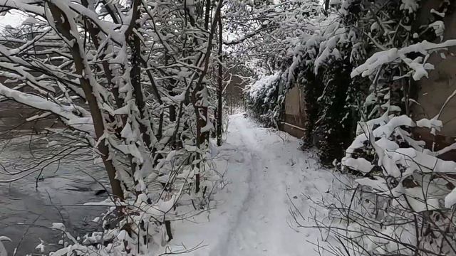❄️ Снег в Германии 🇩🇪
