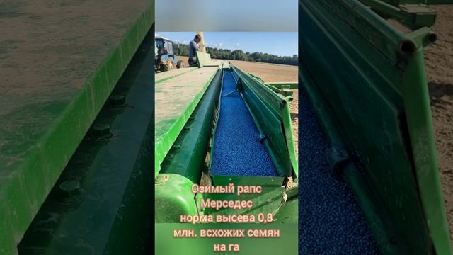 Технология возделывания озимого рапса "Мерседес"