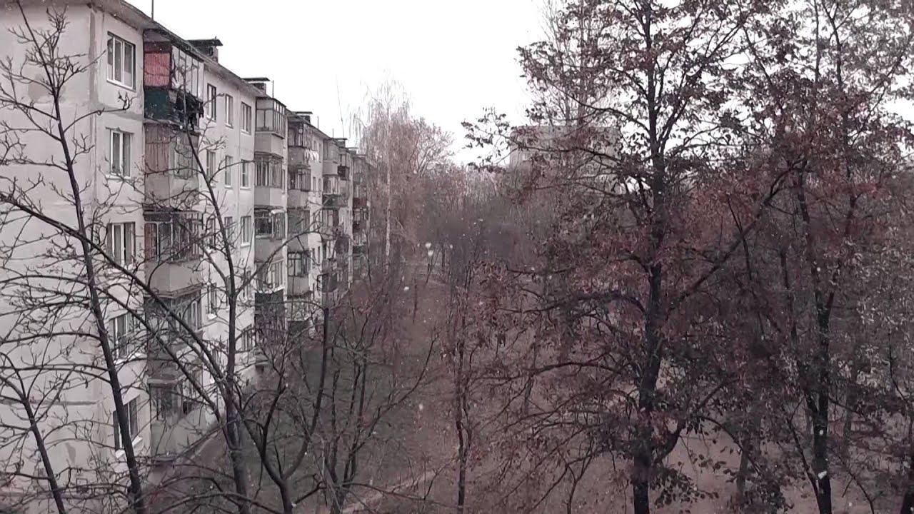 Первый снег 03.11.2014. 14:35 Железногорск