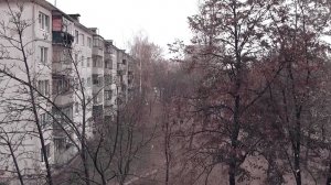 Первый снег 03.11.2014. 14:35 Железногорск