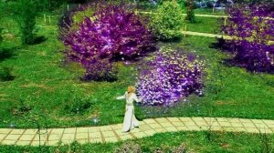 Гузель Уразова  Кук сирень