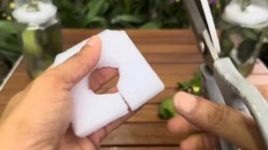 Trồng lá lan trong nước này sẽ ngay lập tức nhiều rễ và nở mãi