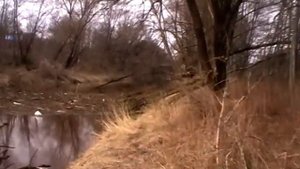 Берегите природу, мать вашу! И нашу... Вишерский канал.