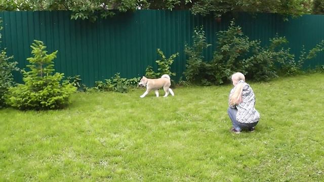 Даи Рикки.m2ts смотреть онлайн