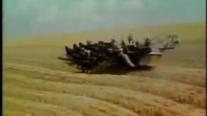 Конные комбайны - привод от лошадей, уборка пшеницы в 1930-1940 годах