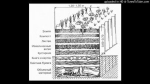 Шустрые перцы Теплые грядки, ч 2