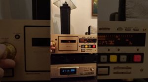 Teac V-8030S-2