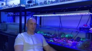 «Рифовый Аквариум» Освещение. Часть 8