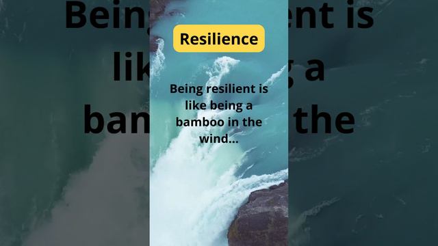 Resilience is the key to everything