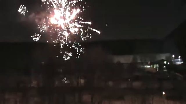 И снова салют в незаконно сданных в аренду гриль-домиках на ООПТ Ландшафтный заказник Теплый Стан смотреть онлайн