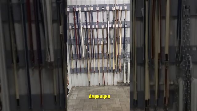 Зоомагазин-склад Пиги-Маркет г.Курск смотреть онлайн