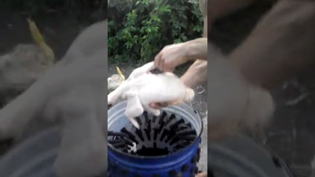 Перо съёмная машина смотреть онлайн