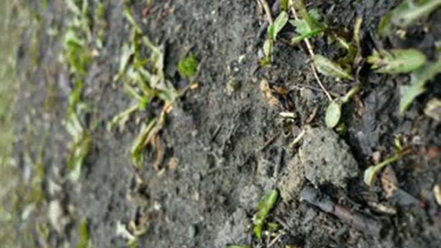 Весна Апрель 2015!!!!!! смотреть онлайн