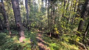 Поиски старого Александровского рудника, Новоуральск