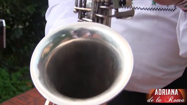 NU MĂ MAI BATE BARBATE Colaj de stiluri Valeriu & Eugen смотреть онлайн