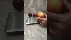 Пинова, Моди, Джеромини в хранении (28.11.23)