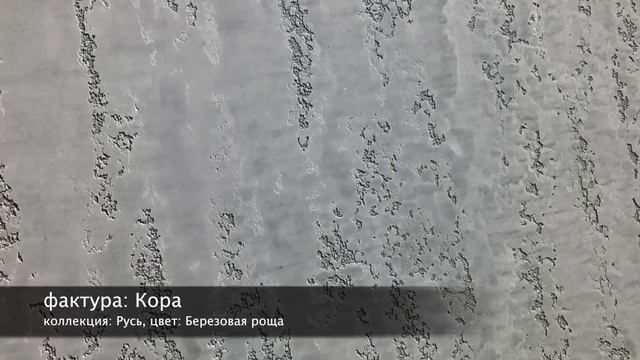 СВОТЧ. Desan Браш Прагма 0.04 и Desan Стоун Штукко, фактура: Кора, цвет: Березовая роща смотреть онлайн