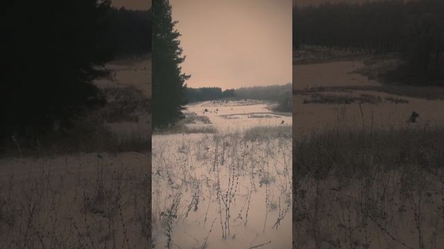 прогулка, сбор шиповника в ноябре смотреть онлайн