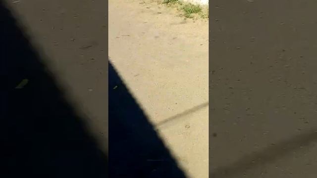 Карпаты до и после - улучшение ? смотреть онлайн