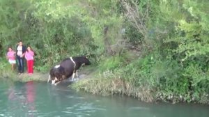 Рыбалка УШТОБЕ