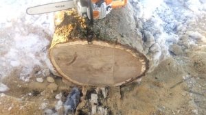 STIHL MS 230 против дубового бревна