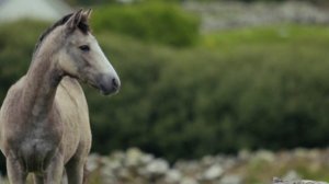 100 НЕВЕРОЯТНЫХ ФАКТОВ О КАЗАХСТАНЕ