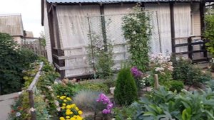 Вся дача за 30 минут. все 4 сотки,всё как есть и о планах.