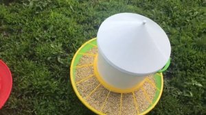 Какие кормушки и поилки выбрать для ПТИЦЫ ? Лучшие бункерные кормушки для Кур и Мускусных уток