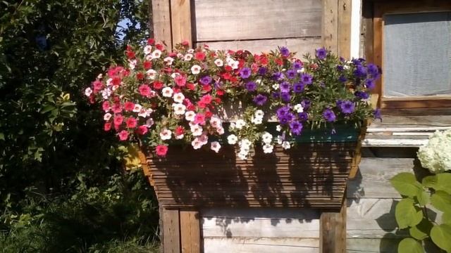 Вертикальные клумбы своими руками. Идеи как сделать необычные цветники на даче смотреть онлайн