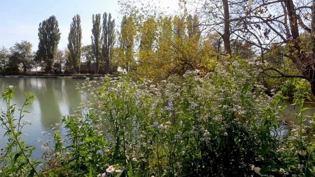 А. Блок Стихи под музыку. A. Blok Poems to music. смотреть онлайн