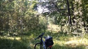 Барыш - Русская Хомутерь 2016 г.