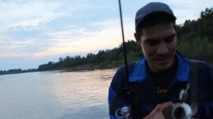 жерих на 1,5 кг