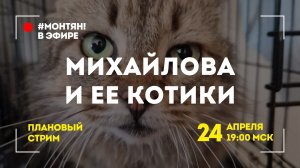 #МОНТЯН В ЭФИРЕ: В среду вечером — о котиках и о потопе 😼