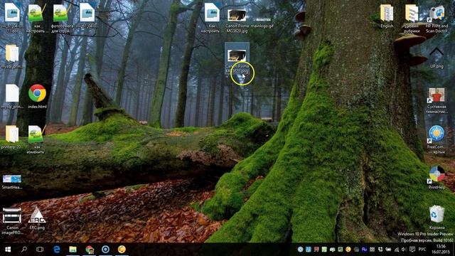 Как изменить расширение файла в Windows 7/8/8.1/10 смотреть онлайн